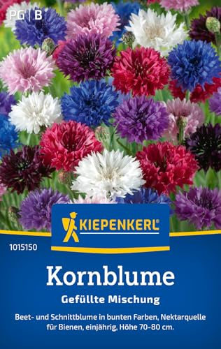 Kiepenkerl Kornblumensamen Gefüllte Mischung 1015150 - Beet- und Schnittblume in bunten Farben - Nektarquelle für Bienen - Saatgut, Blumensamen, Kornblumen