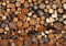 wandmotiv24 Fototapete Holz Holzoptik Holzstapel, L 300 x 210 cm - 6 Teile, Wanddeko, Wandbild, Wandtapete, Brennholz, Kamin, Ofen M0706
