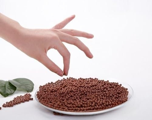 2 lbs Ceramsite Horticultural Clay Pebbles,Mini Hydroponics Decorative Ceramsite Balls for Plant Paving,Plant Pots,Drainage Water,Purification,Cultivation,Vase Fillers,Fish&Turtle Tanks (3mm, Brown)