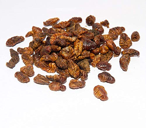 Seidenraupen getrocknet * Koifutter * Reptilienfutter - Schildkrötenfutter 5.000ml im praktischen Eimer