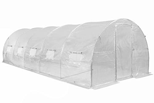 Garden Point | Tunnel di lamina | 3 x 8 x 2 m | Bianco | Foglio di casa | Tenda Serra | Stagnola per piante | Pomodoro in serra | Con Porta