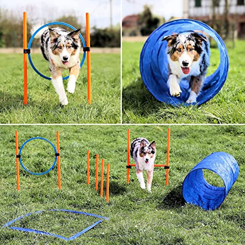 vabiono Agility Dog Trainings Set X Tunnel-Sprungring-Hürden-Slalom-Stangen für Hunde