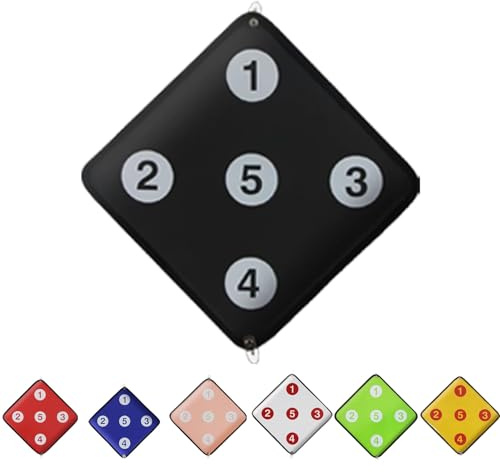 KXJPIZIYB Bersaglio per Scherma Attrezzatura da Scherma in Pelle a Doppia Faccia Bersaglio per Allenamento di Scherma Cinque Bersagli per Allenamento di Sciabola, Fioretto e Spada(Black)