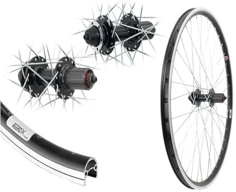 AGGRO-X 28 Zoll Alu Hinterrad 19-622 Laufrad V-Brake Hohlkammer Felge Disk 6-Loch 8-10 Fach Kassette