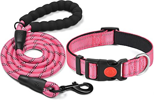 haapaw Reflekterande hundhalsband vadderat med mjuk neopren andningsbar justerbar hundhalsband i nylon för små medelstora hundar