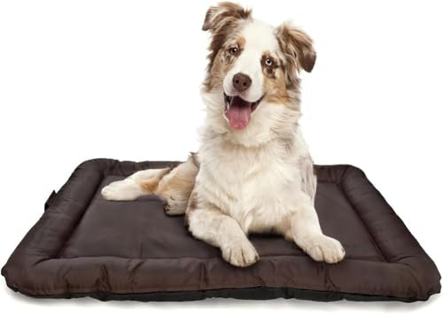 all Pets United® Hundekissen Hundebett Indoor & Outdoor; Hunde-Kissen Hunde-Körbchen; Schlafplatz für Hund & Katzen (XL - 120x84 cm)