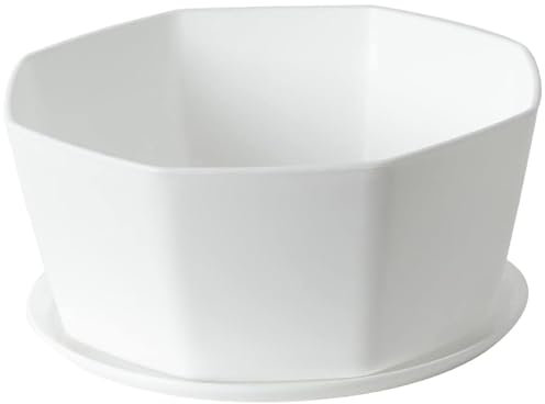 Jorzer Vasi per piante grasse da 15 cm, vasi in ceramica con foro di drenaggio, vaso per piante poco profonde, vaso da fiori per piante da interno, bonsai rotondo poco profondo con vassoio in bambù