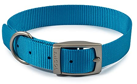 Ancol Viva Padded Soft Touch Dog Collar with ID Loop - Black - Lightweight Weatherproof Adjustable Puppy Training Neckband - 50-59cm Size 7
