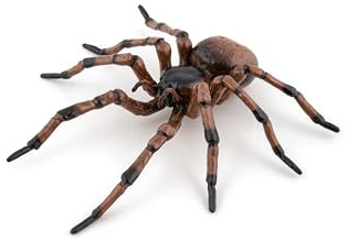 Papo Figura Realista de Araña, Colección Animales de Jardín, Niños 3+ | Juego educativo sobre insectos y arácnidos del jardín | pintada a mano | pieza de colección | idea de regalo original hoy
