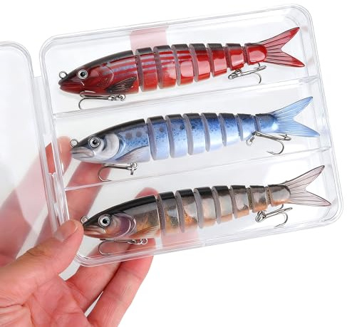 KQDRAVINE 3 Esche Artificiali Gummifische con Scatola di Conservazione, Esche da Pesca Realistiche per Spigola, Trota, Luccio, Per Mare e Acqua Dolce