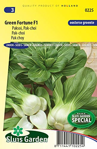 Pak Choy Green Fortune F1 Vegetable Seeds per gram - an Open Cabbage with Bare, White Flower stalks, White Leaf Veins and Dark Green top Leaves - 0,3 g - Seeds per gram: +/-100