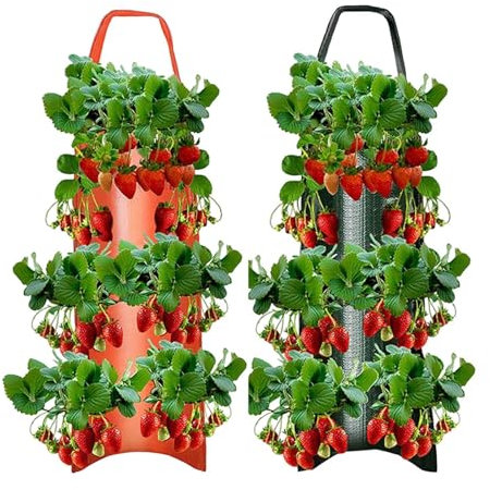 2 bolsas de cultivo de raíz de tomate – No tejidas de fresa, pared de tomate | Bolsas reutilizables para plantas de flores, fácil de usar, plantador de pirámide de fresa para verduras, flores, hierbas