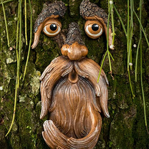 SDFR Mangeoire à oiseaux en forme de visage d'arbre - Mangeoire à oiseaux en résine - Décoration de jardin - Sculpture d'arbre - Décoration amusante pour l'extérieur 6 x 15 cm/2.4 x 5.9in