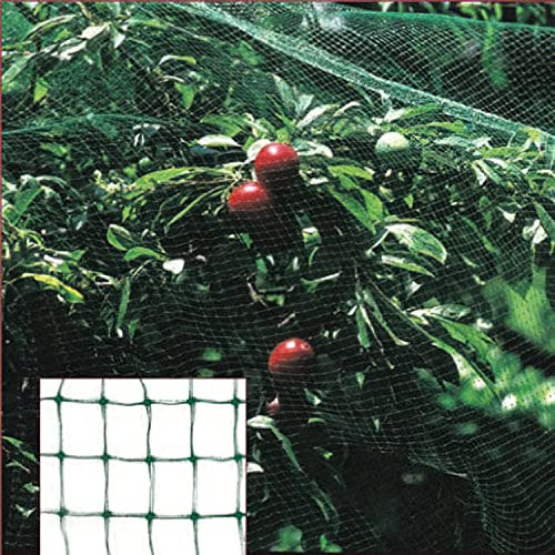 Maglia antipioggia (rotolo 2,0 x 10 metri) Rete Proteggere Alberi, Colture, Frutta.