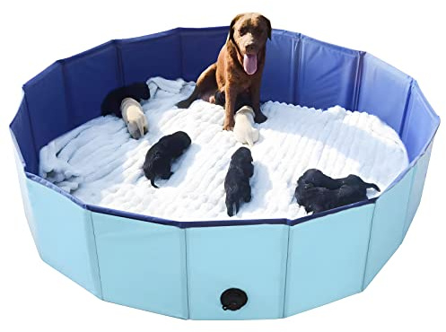 Artilife Whelping Box for Dogs Welp Box Whelping Pool,Puppy Whelping Pen for Puppies,Birthing for Dogs (63inch Dia.x12inch H(160x30cm), Blue)