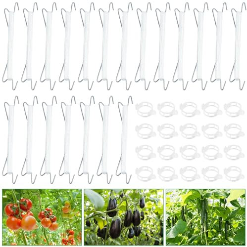 SHANKAM 20 Crochet de Support pour Tomates, Tomate Crochet, 20 Clips Tomates, Corde en Nylon de 10 Mètres, Utilisé pour Soutenir et Attacher Les Tomates dans Les Potagers et Les Serres