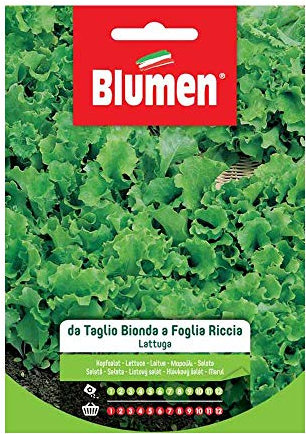 BLUMEN SEMENTI, LATTUGA DA TAGLIO BIONDA A FOGLIA RICCIA