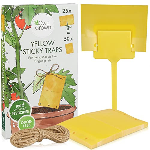 Yellow Sticky Traps Fungus Gnats: 50x Sticky Fly Trap for Indoor Plant – Yellow Sticky Fly Traps – Fungus Gnat Killer – Fruit Fly Trap by OwnGrown