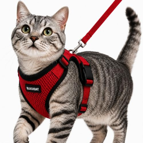 BLOCKBAT® Arnes para Gatos, con Correa de 150cm, Antiescape, Cómodo y Reflectante, Fabricado en Malla Transpirable Suave, Arnes Gato, Cosas para Gatos, arnes Gato Pequeño. (S, Rojo)