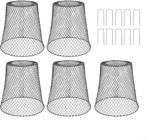 Juego de 5 cubiertas de alambre de metal para protección de plantas con estacas para uso en jardín, asegurando las plantas contra intrusiones animales y elementos ambientales (negro)