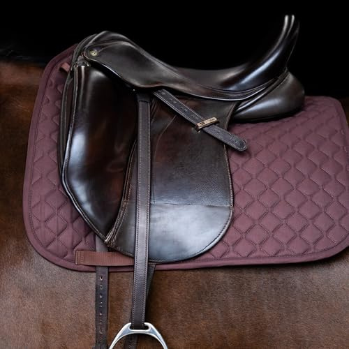 Imperial Riding stigbytesrem IRH med nylonkärna, läderstigbygel, mörkbrun, 125 cm