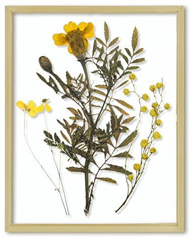 Frametory, Cornice portafoto flottante, 28 x 35,5 cm, in alluminio dorato, in vero vetro frontale, per esposizione a parete