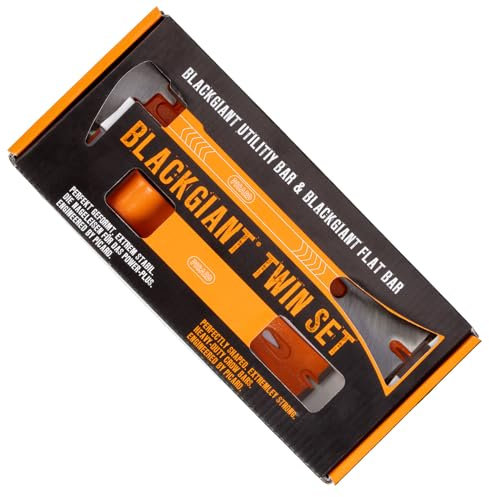 PICARD BlackGiant Lot de 2 fers à clouer n° 46X/46Y - Travail de précision pour les artisans - Qualité professionnelle pour la construction, la rénovation et la réparation - Longueur : 175 mm et 250