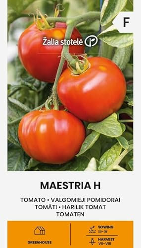 Zalia Stotele | Tomates - Graines Maestria H | Graines de légumes | Planter des graines | Graines de tomates | Hybride mi-précoce, productif et résistant | 1 paquet