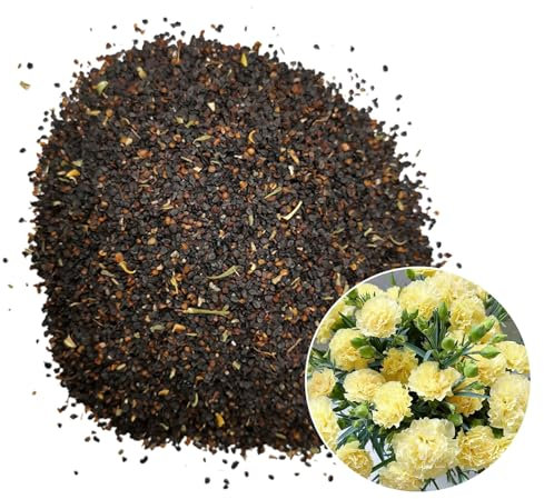 Worparsen Karnationssamen leicht zu züchten von 2000 PCs mehrjährige Blumen Samen mit duftenden Blüten für Bestäuber schneiden Gärten Blumensträuße Blumenarrangements Gelb