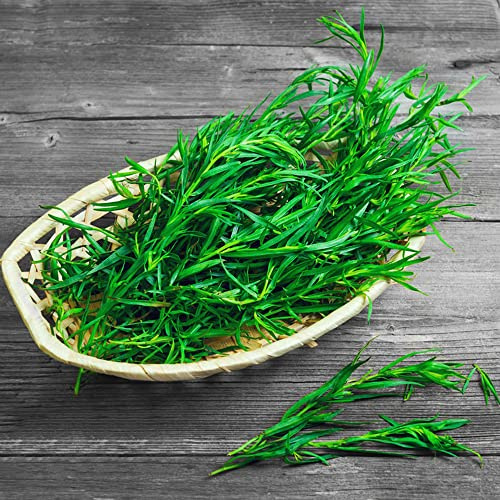 semillas de estragón jardineros verdes orgánicas extraño de balcón resistentes jardines rocas silvestres 400pcs
