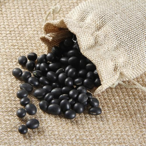 Semillas de frijol negro, exóticas Semillas de frijol variedades antiguas. regalos para jardin 400pcs