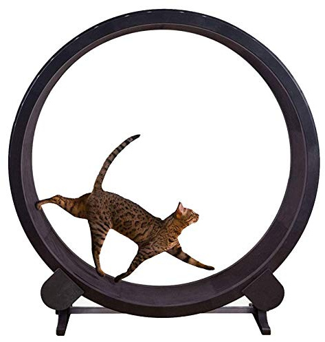 AWYLL Tapis Roulant per Animali da Corsa, Ruota per Esercizi per Cani e Gatti, Silenzioso con Pista Antiscivolo per Esercizi Indoor