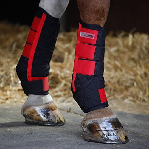 Protechmasta Leg Boots Stable Wraps for Horses - Soft and Comfort Air Mesh Fabric - Set of 2 / Black - Size: FULL