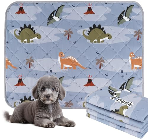 BVAGSS 2 Pezzi Tappetini Assorbenti per Cani, Tappeti Lavabili Riutilizzabili, Antiscivolo, Alta Assorbenza Addestramento traversine per cani XH081 (60x60cm,Grey Dinosaur)