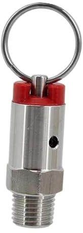 YWJLQH Soupape de Décharge de Pression pour Fût de Bière - Pièces de Fût Faciles à Installer - Acier Inoxydable, 35 Psi