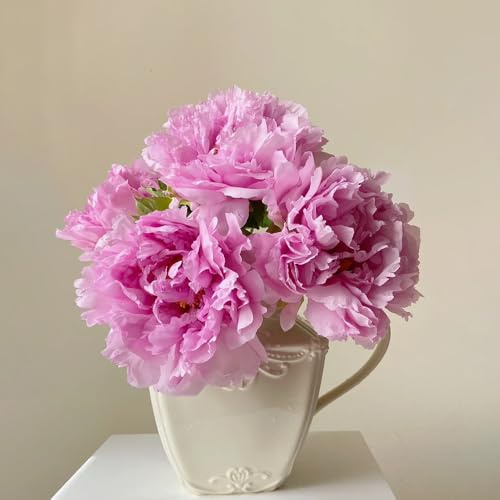 Bulbos de peonía (plantas de peonía resistentes) - Las plantas de sombra son resistentes Maceta de bonsái, plantas resistentes al exterior. jardín decorativo、Flores bellamente 5pcs