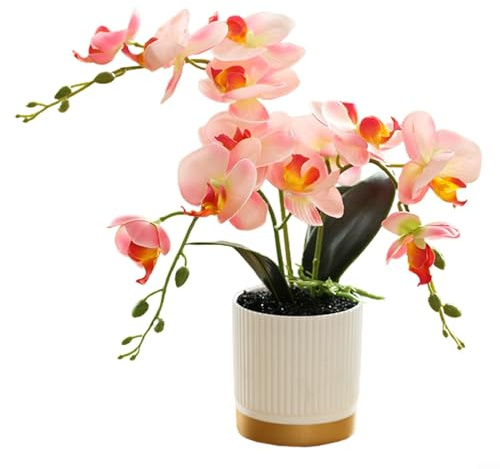 Zoegneer Hermoso bonsái Phalaenopsis con orquídea artificial, 13 pulgadas de altura, suelo simulado, macetas con borde de oro , sin necesidad de cuidado (rosa)