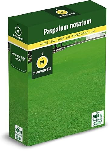 Mascarell Semillas, PASPALUM NOTATUM, Semillas de Césped, Verde y Duradero, Compacto y Resistente, 500g