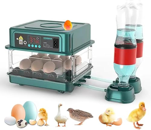 Incubadora de huevos automática, incubadora automática 15-36 huevos, con sistema de giro automático y control de temperatura, para Eclosión de huevos de gallina pato codorniz (10huevos)