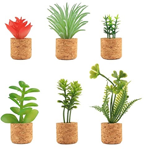 Wresty Cactus Refrigerator Magnets Mini Cute Succulent Plant Fridge Magnet Button Decoration Accessories for Home Kitchen Office (6 pcs)