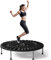 CLORIS 91,4 cm faltbares Fitness-Trampolin, maximale Traglast 77 kg, Rebounder mit verstellbarem Schaumstoffgriff, Indoor/Outdoor, Fitness-Körperübung (Blau) (Schwarz)