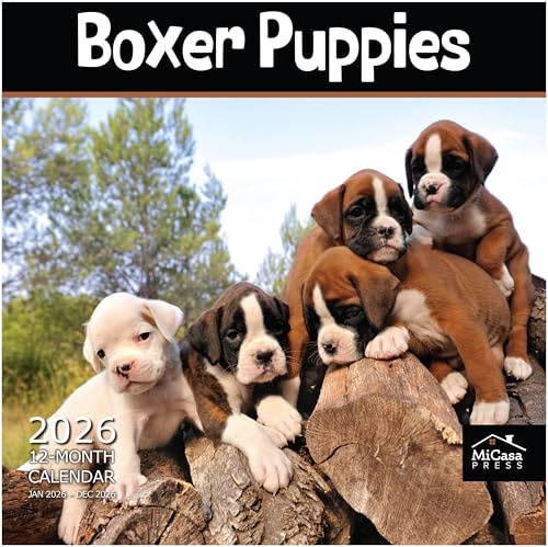 MICASA Boxervalpar 2026 Väggkalender 12 månader | 30 cm x 61 cm Öppen | Tjockt & Robust papper | Gåvor | Kalender 2026