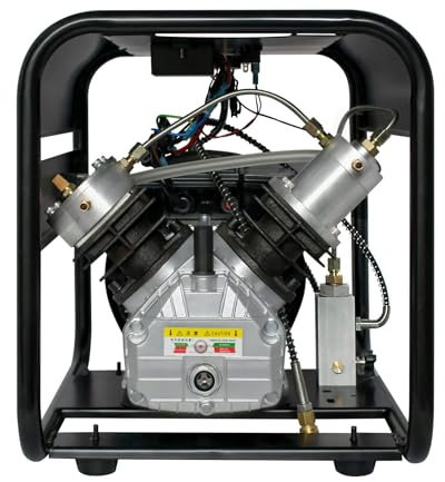 TUXING 4500Psi Double Cylinder Pcp Air Compressor,High Pressure Paintball Pump,for Air Rifle Gun 6.8L Tank,Paintball Gun 30Mpa 220V(TXED011)