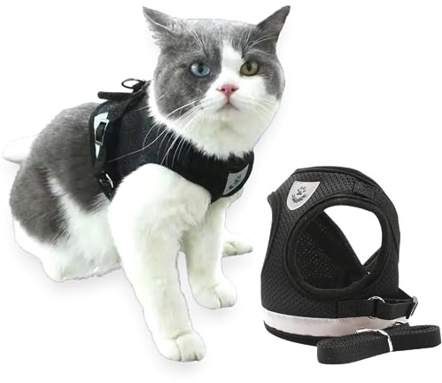 TALACANO Arnés para Gato con Correa - Chaleco Ajustable Antiescape para Gatos Pequeños, Medianos y Grandes - Accesorios (Large)