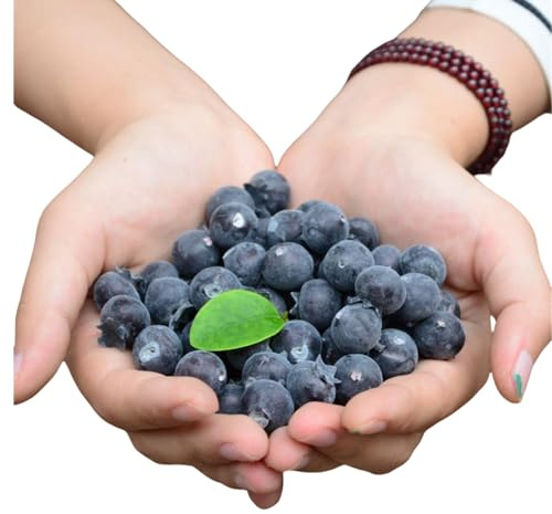 Rikyo 50 frutti artificiali mirtilli finti per la decorazione della casa, casa colonica modello frutta modello armadio da cucina, decorazione da tavolo estiva riempitivi vaso ciotola di frutta in