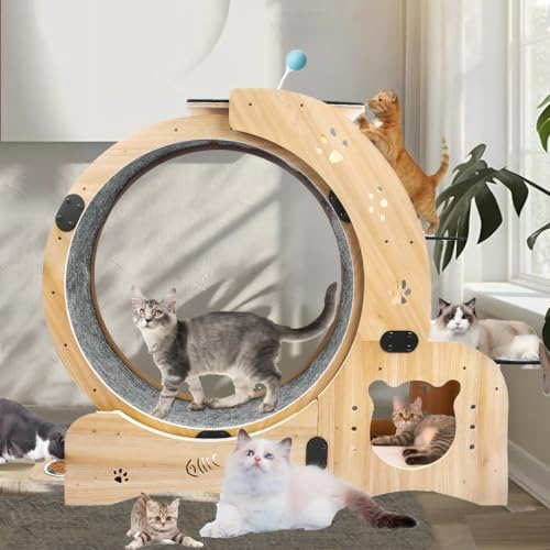 6-in-1 Cat Exercise Wheel, Upgraded Large Cat Wheel Exerciser, Running Wheels for Indoor Cats, Cats Wheel with Silent (Wood)