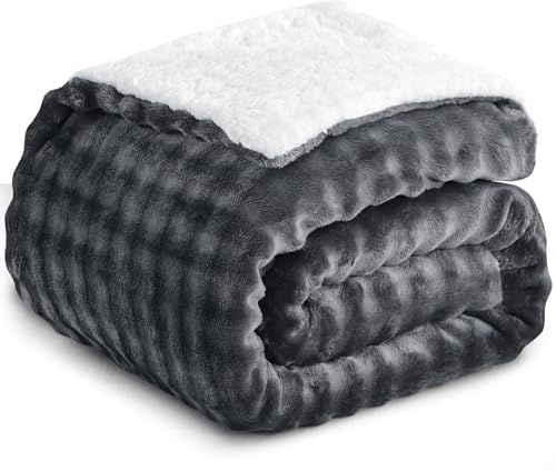 RUIKASI Manta Cama Invierno para Cama 90/135, Sherpa Franela Reversible de Borreguito, Suave al Tacto, Cálida y Transpirable para Sofá o Dormitorio (Gris, 150 x 200 cm)