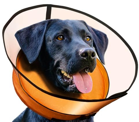 Aschpas® 2 IN 1 Aufblasbare Halskrause Hund, nur f​ür Mittel- und Großhunde Entwickelt,Trichter Leckschutz Hund nach OP, Dog Cone, Halskrause Katze, Hunde Donut [Size 1]