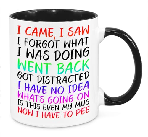 I Came I Saw I Forgot Mug - Funny Novelty Gift Silly Present Mugs for Women Birthday Christmas for Mum Dad Friend Sister for Men Colleague Secret Santa Work Quotes (Rainbow)