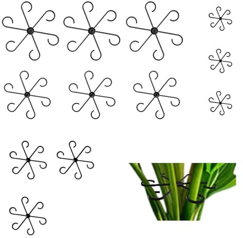 Lot de 12 supports pour plantes grimpantes Monstera et Alocasia, tomates, hortensias